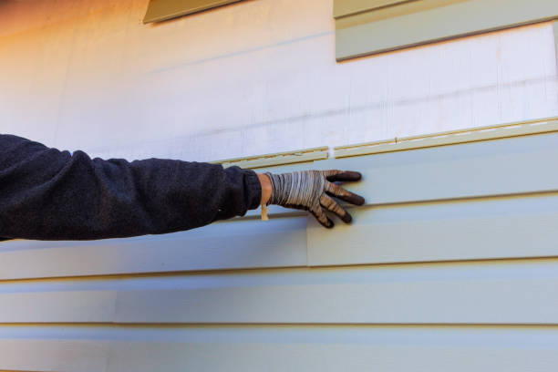 Affordable Siding Repair and Maintenance Services in Woodmoor, CO